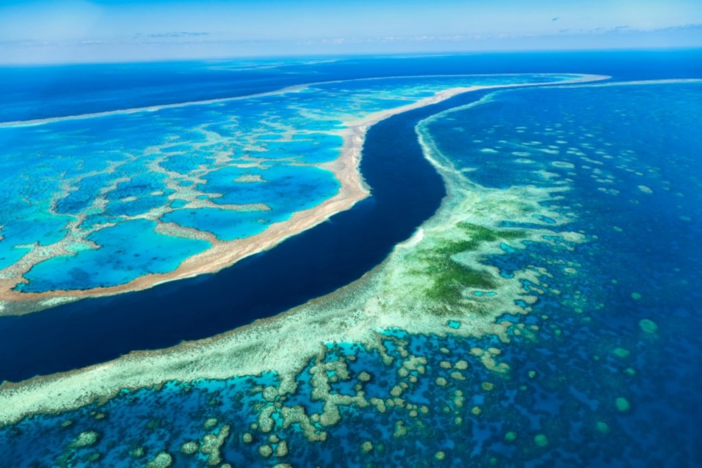 great barrier reef australia 1