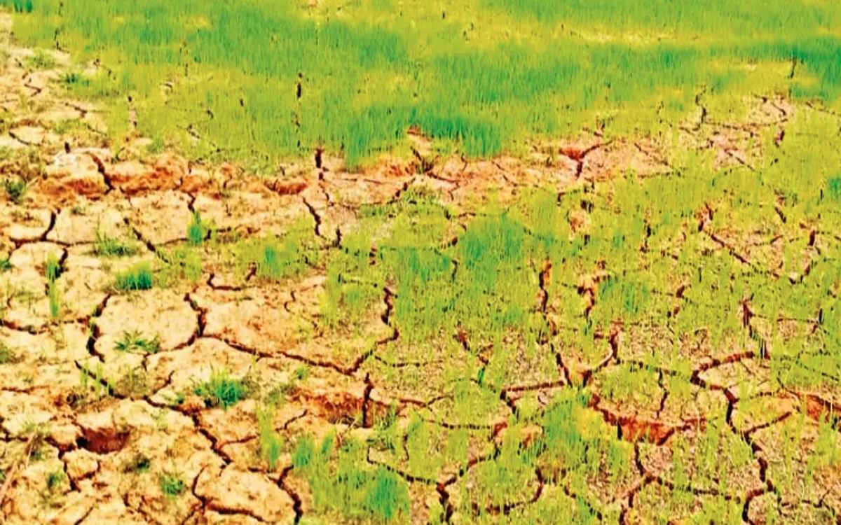 Epidemic committee activated due to rising heat in Bihar, instructions to mark drought areas in all districts