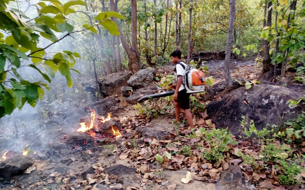 Fire is burning in the forests of Barkagaon, thousands of trees, plants and wild animals are being hunted