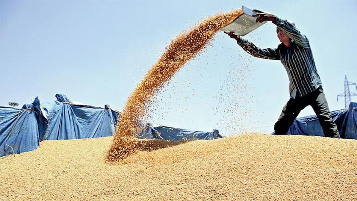 Government procurement of wheat will be done in Bihar from April 20, the target of procurement of 10 lakh tonnes, know how much is the support price