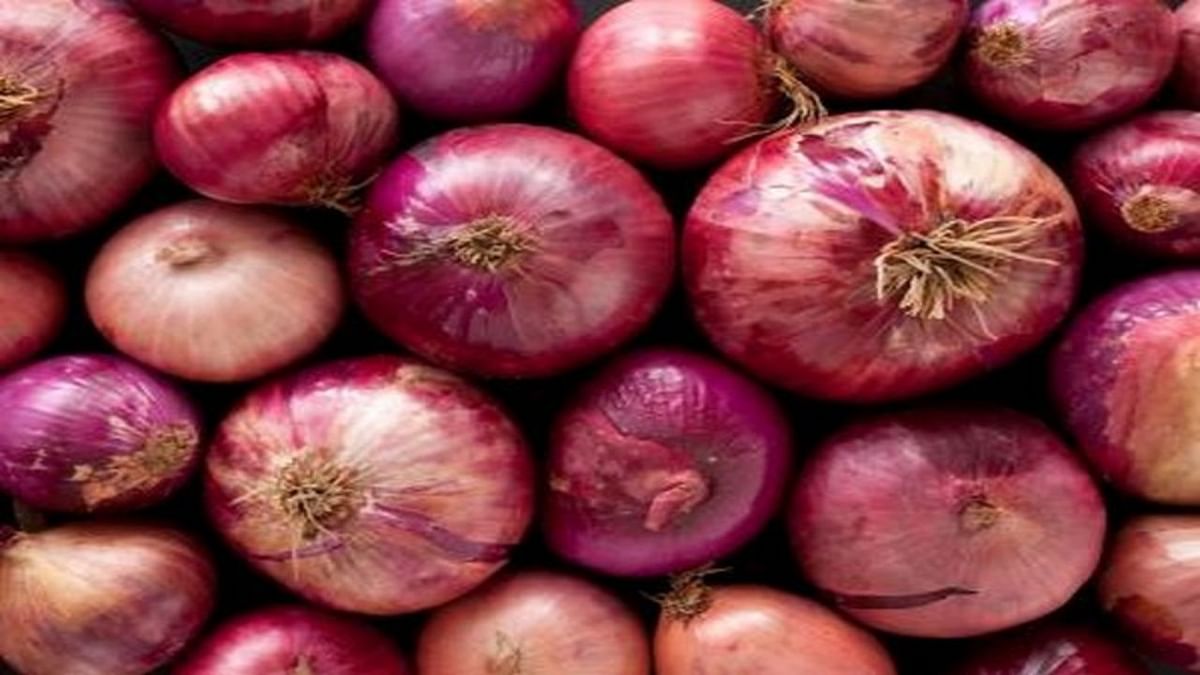 Government will keep a check on onion prices, will deposit 3 lakh metric tonnes in buffer stock