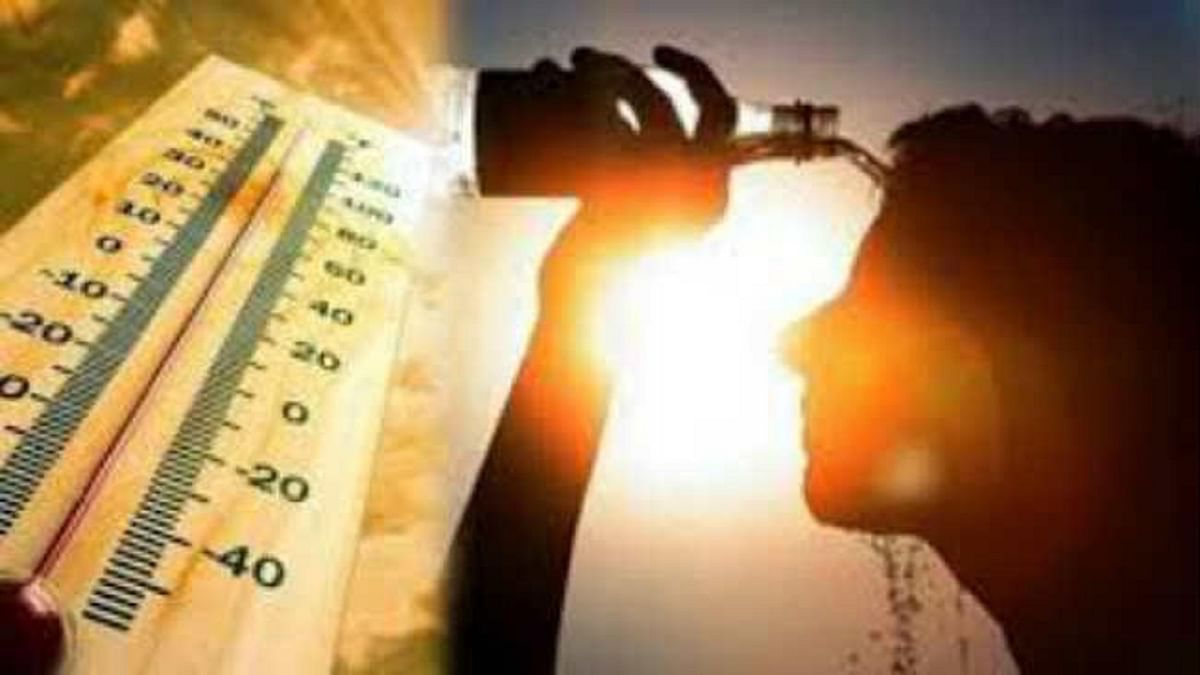 How will the weather of Bihar be?  Read the latest weather report regarding heat, humidity and rain in Patna-Bhagalpur and these districts