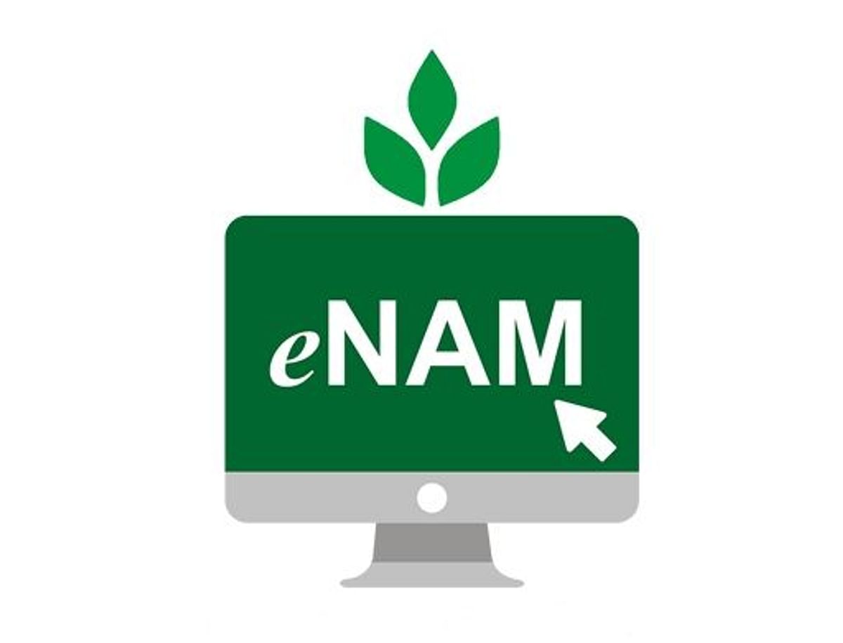 News of work: Farmers of Bihar can sell crops online through e-NAM portal, the hassle of middlemen is over