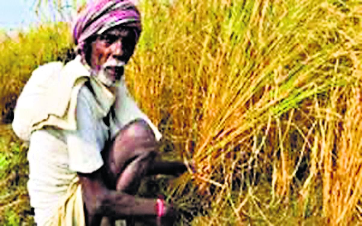 Payment of PM crop insurance in the account of 4.5 lakh farmers of Jharkhand, 400 crores sent after 4 years