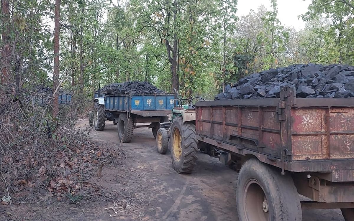 BollywoodWallah Impact: As soon as the news was published, the forest department seized illegal coal lying in the forests of Barkagaon for months