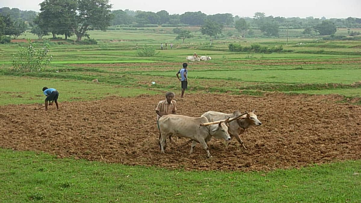 Rs 1445 crore to be spent on agriculture infrastructure in Jharkhand, only 125 schemes approved in three years