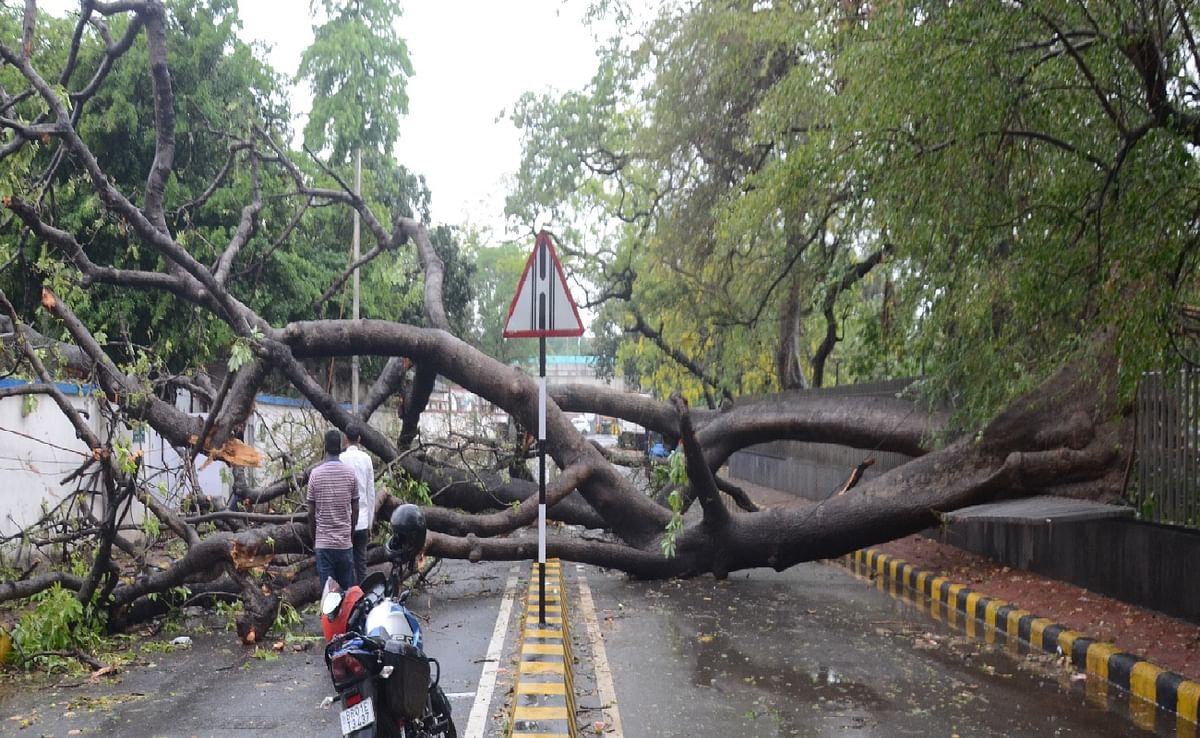 Stormy rains in Patna, trees fell due to storm in many places, half to one foot of water filled in localities