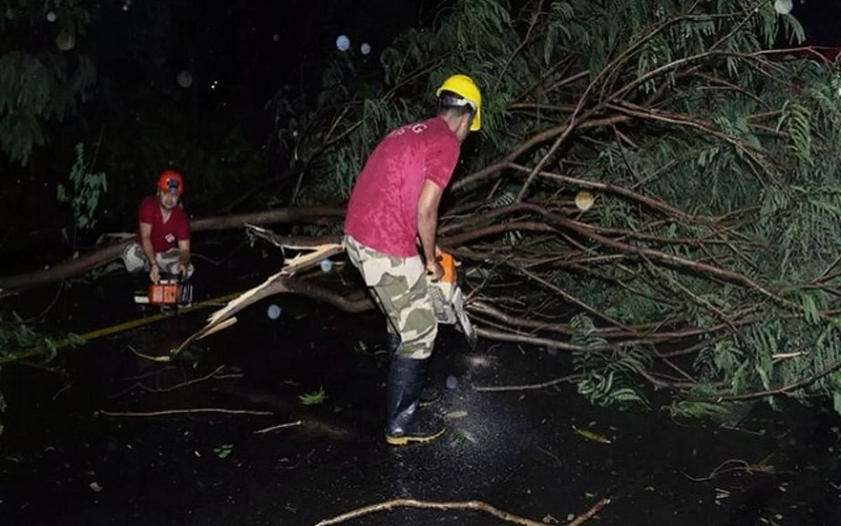 Bengal: Trees fell due to strong winds due to Kalbaisakhi, many vehicles damaged