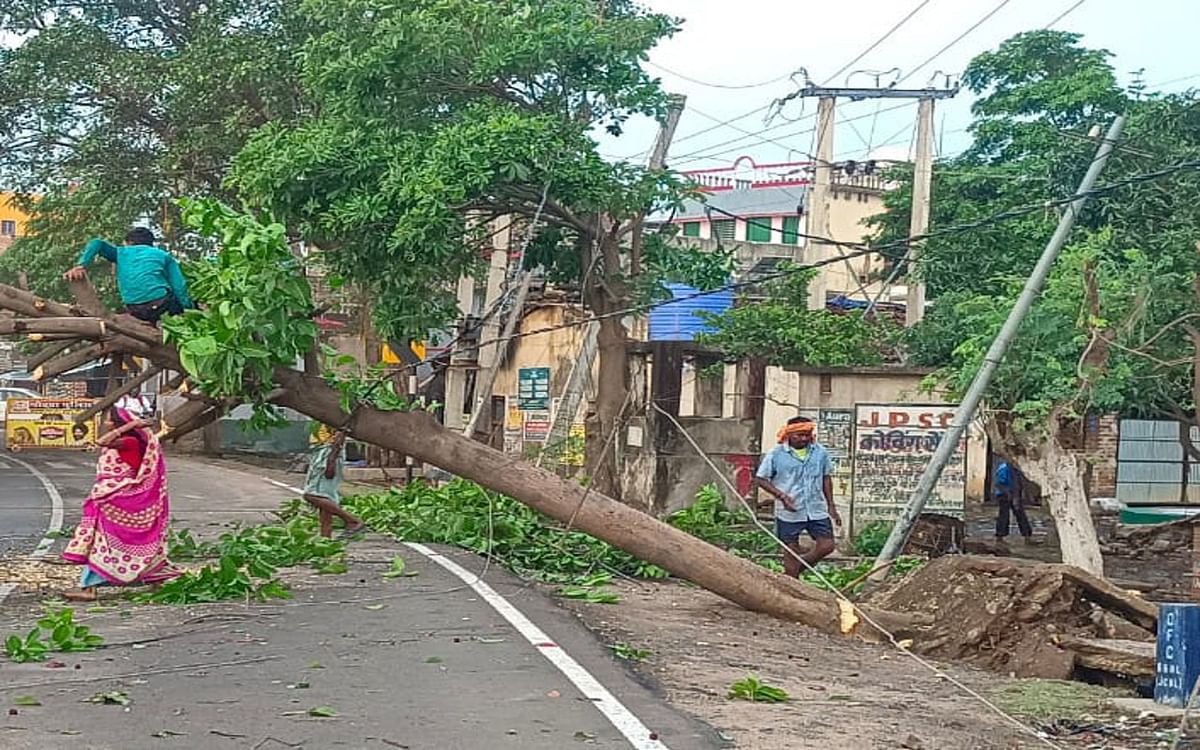 Jharkhand Weather Update: Heavy devastation due to storm and water in Godda, many trees fell, damage to mango crops