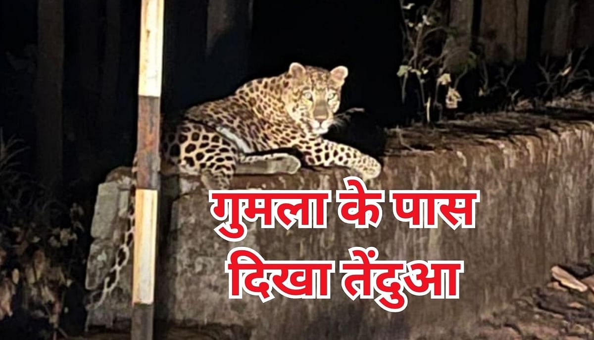Panic among people due to sighting of leopard at Sirsi turn in Netarhat valley, forest department said this