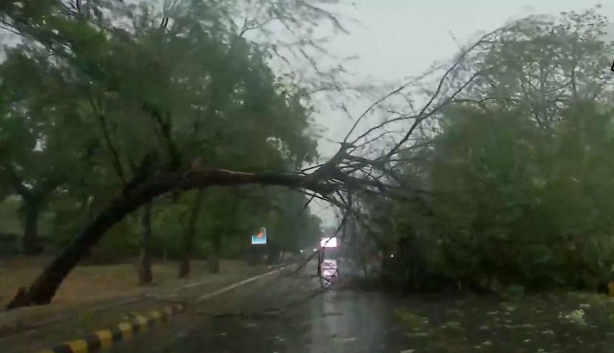 The storm caused havoc in Bihar, dozens of trees collapsed, power supply was also disrupted
