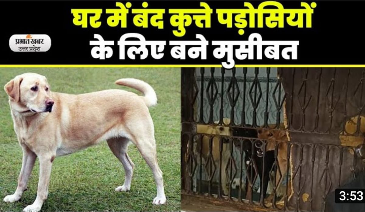 Agra Dog Lover: What kind of animal love is this, dogs remain imprisoned in the house without an owner