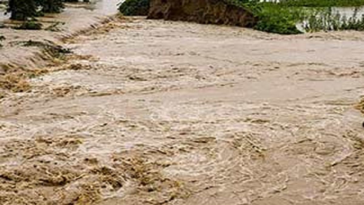 Assam Flood: Flood situation improving in Assam, about 41,280 people from 41 villages in Bajali still affected