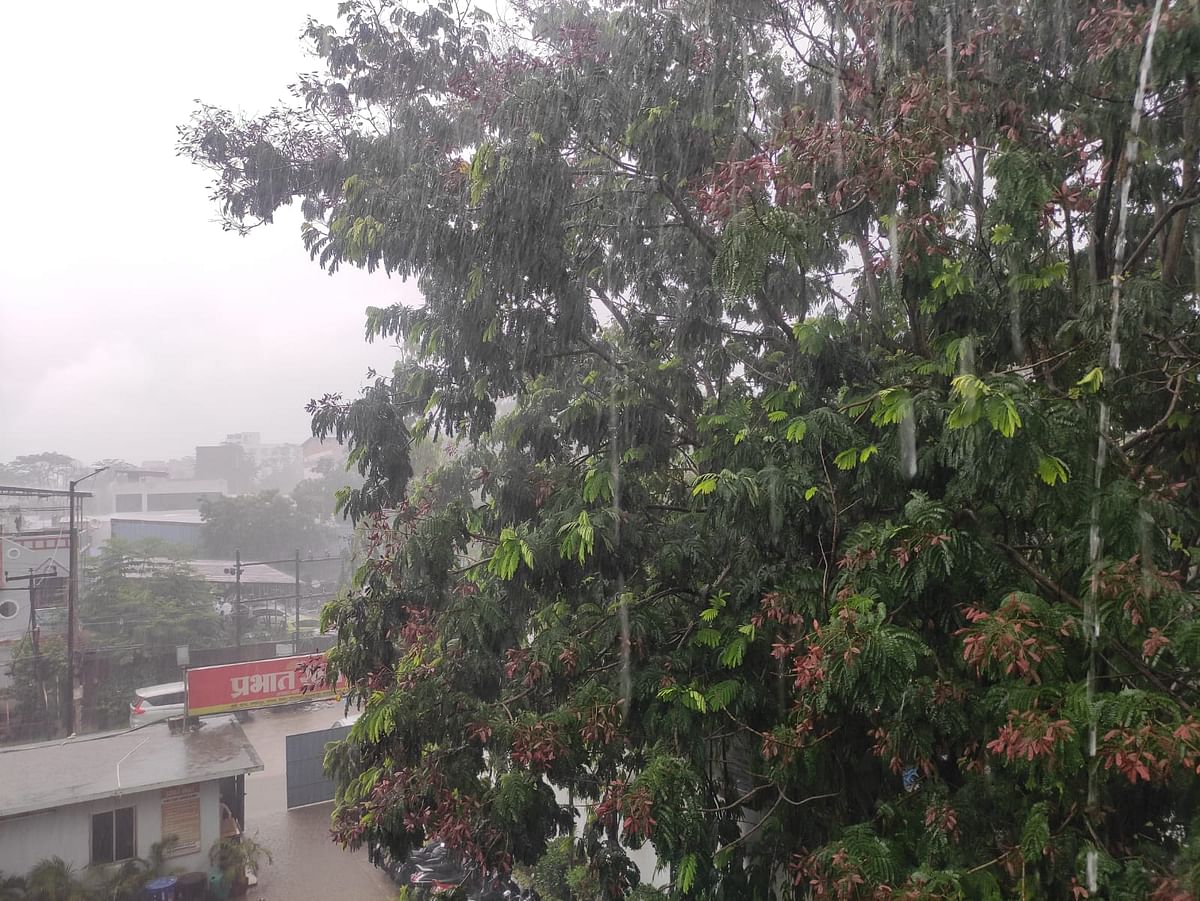 Bihar Weather: IMD update on rain, monsoon entry in Bihar amid heatwave