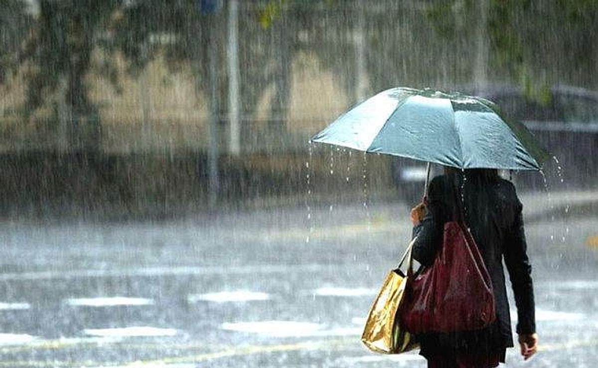 Bihar Weather: Strong start of monsoon in Bihar a day ahead of time, rain knocks in Purnia-Kishanganj