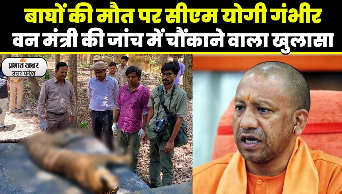 CM Yogi took big action on the death of tigers, 10 including field director fell