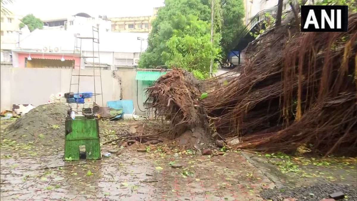 Cyclone Biparjoy: Viparous form of Biparjoy will be seen in a few hours, there will be heavy rain in these states