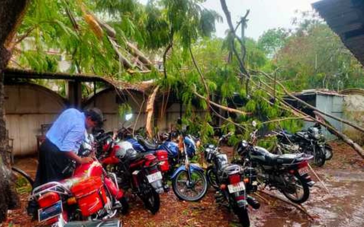 Dozens of electric poles and trees fell due to storm in Madhupur, power supply stalled in many areas