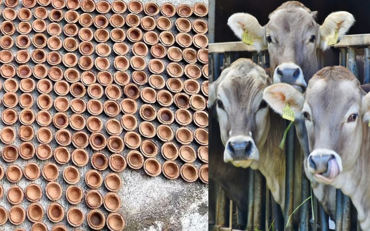 Environment is being improved by making goods from cow dung