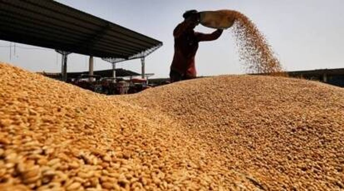 Government implements stock limit to control wheat prices, export ban continues
