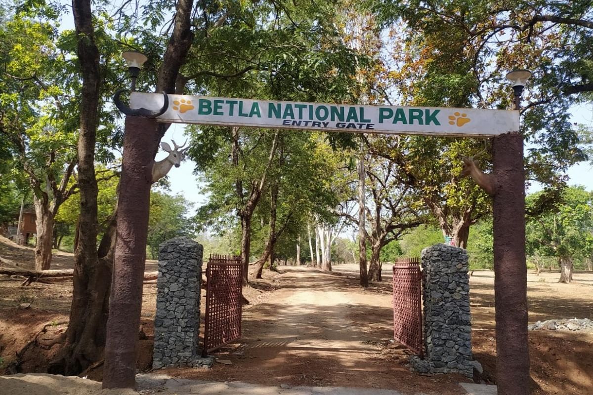 Jharkhand Tourism: No entry for tourists in Betla National Park from July 1, will be able to see Palamu Fort and Lodh Fall