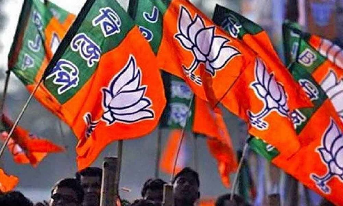 Lok Sabha Elections 2024: After BJP's meeting in Delhi, know why there is ruckus in Bihar NDA...