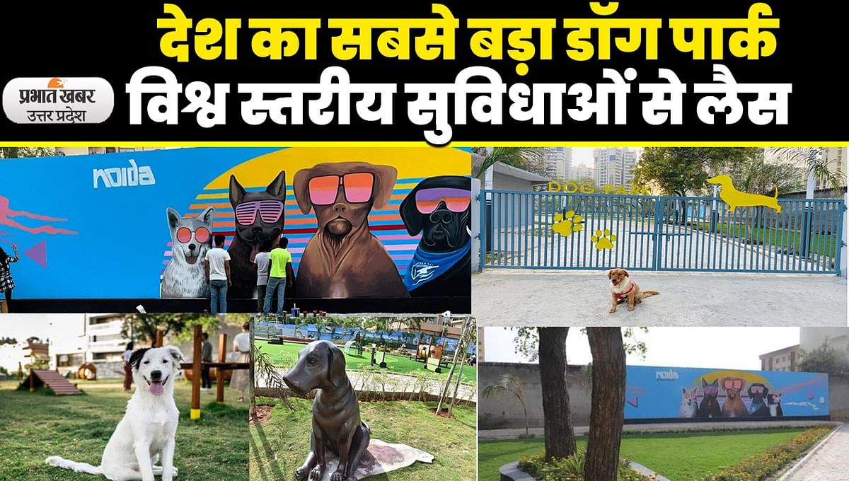 Noida Dog Park: Country's largest dog park opened in Noida, many facilities including clinic, pool will be available
