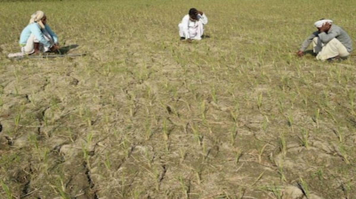 Summer in Bihar became a disaster for farmers, crops on the verge of drying up, know what is the government's preparation