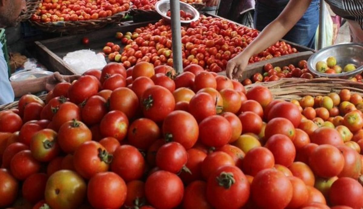 Tomato Price Hike: Another hit of inflation!  Tomato price skyrocketing, price reached up to Rs 100