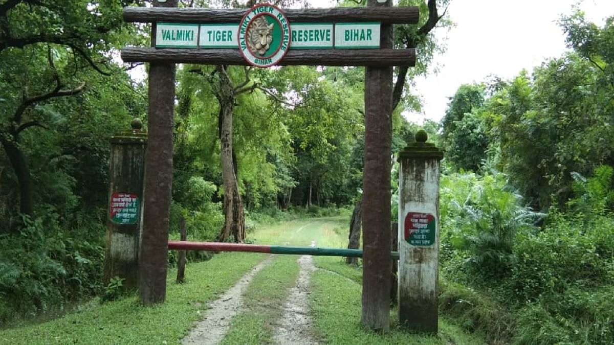 VTR: Forest Department has stopped the facility of jungle safari in Valmiki Tiger Reserve, know what is the reason