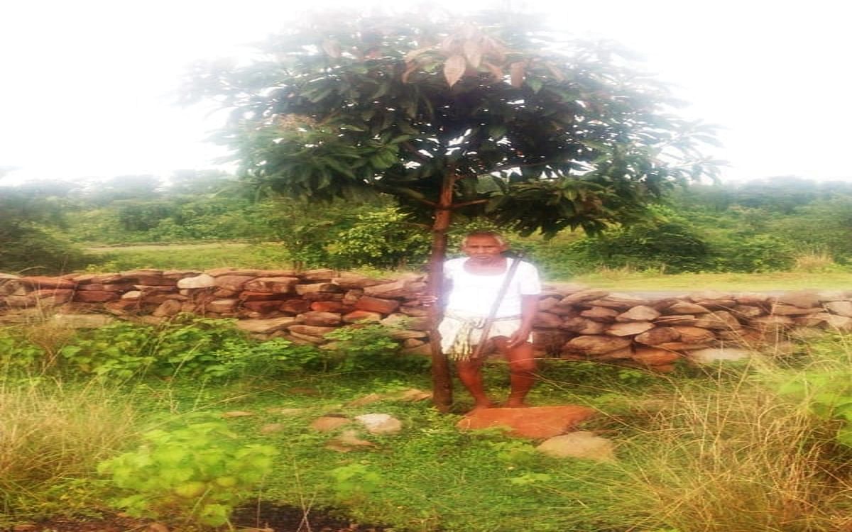 World Environment Day: 83-year-old Ram Dayal Mahato, known as 'tree planting uncle', plants fruit trees