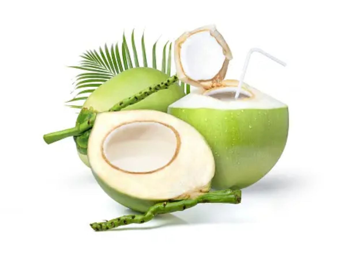 The mantra of health is hidden not only in coconut water but also in its cream, know its amazing benefits