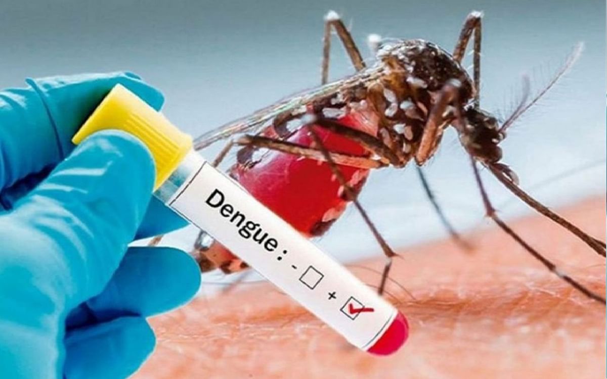 डेंगू का बढ़ा डंक, हर दिन बढ़ रहे मरीज, जानिए डेंगू  बुखार से कैसे बचें