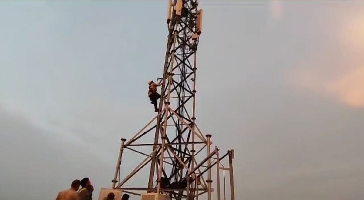 Aligarh: Rescue operation of crows trapped in mobile tower saved life, Maneka Gandhi's call came