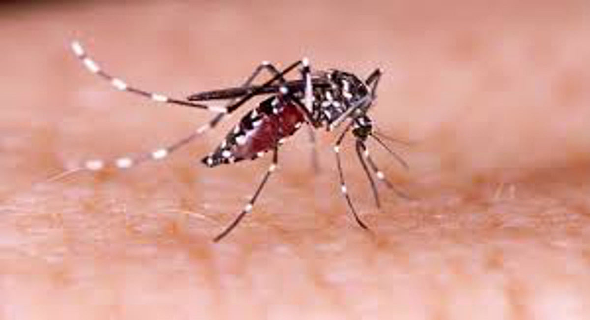Dengue-malaria threat increased in Bihar, 13 malaria patients found in Patna, dengue larvae at five places