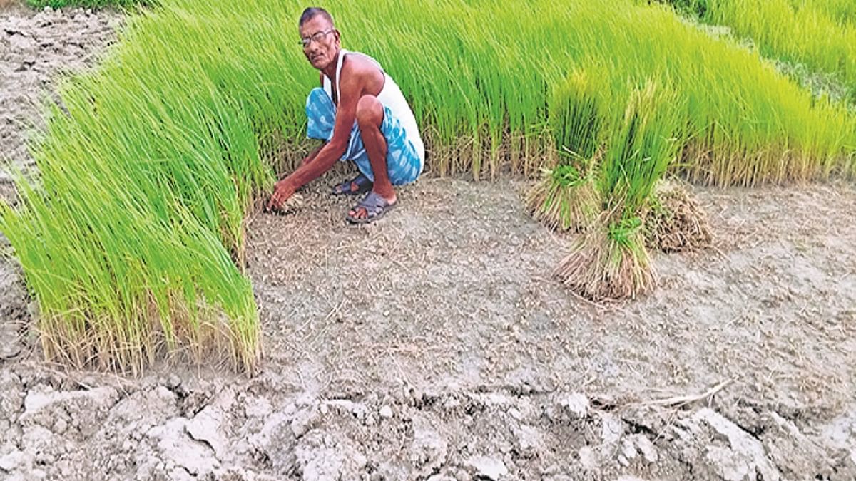 Farmers are in trouble due to the reverse move of monsoon, there is no hope of rain for a week