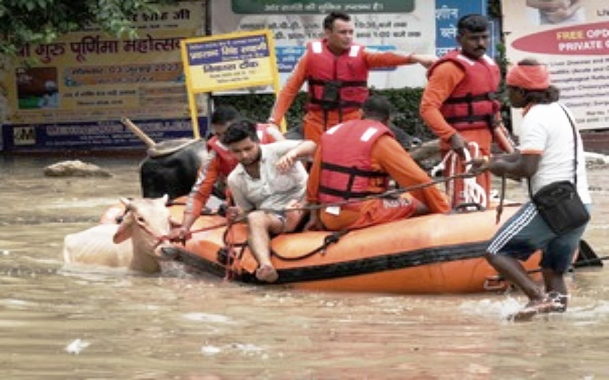 Flood situation in Delhi and Noida, NGOs come forward to rescue stranded animals