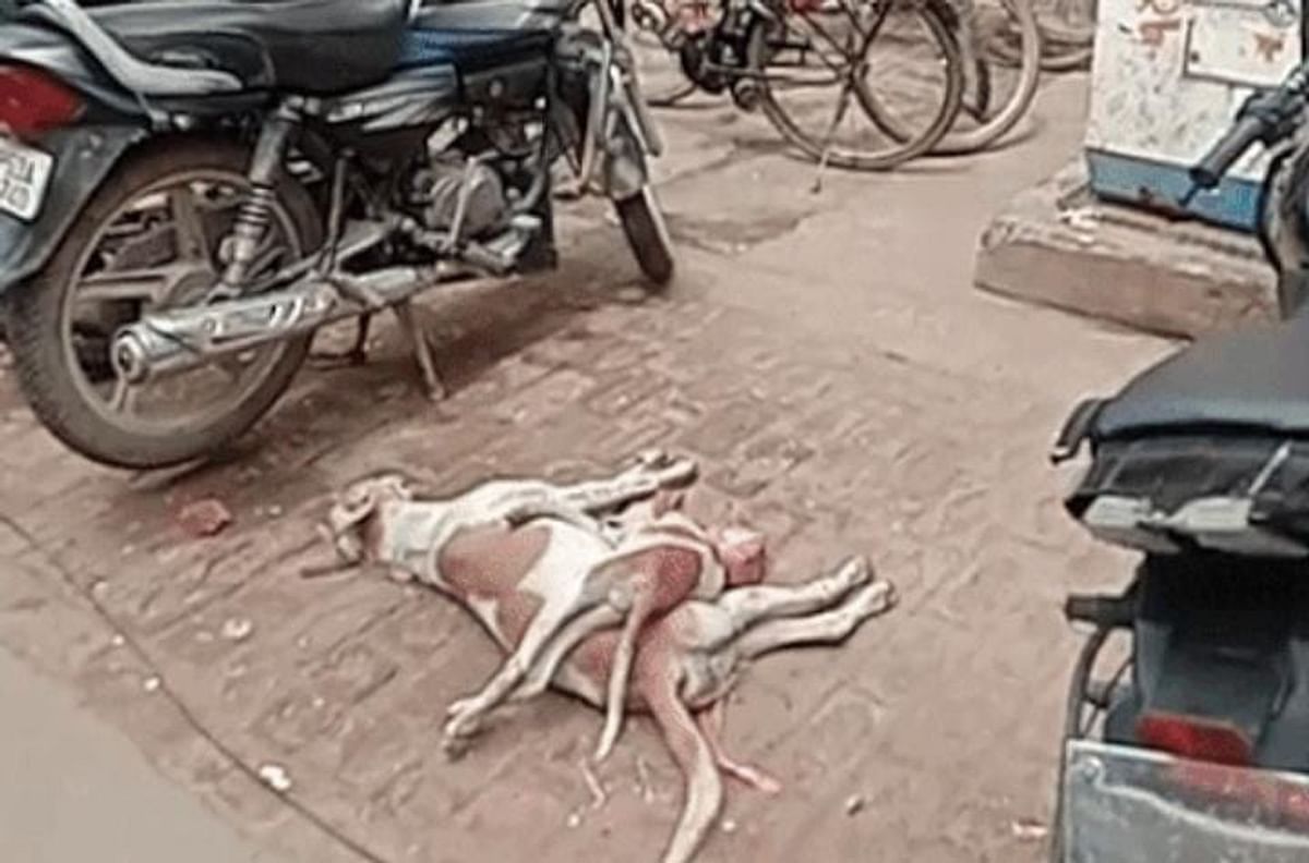 Gorakhpur: Merchant killed innocent by poisoning, police registered case, waiting for postmortem report