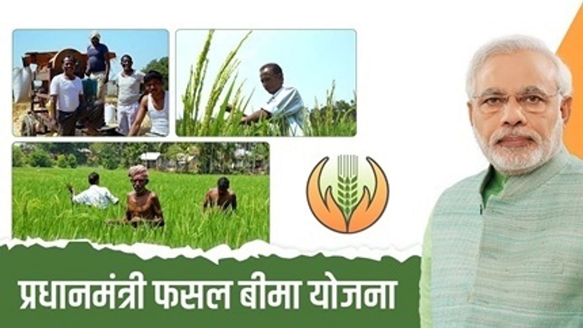 PM Fasal Bima Yojana will give security to farmers, apply before July 31, know how to get benefits