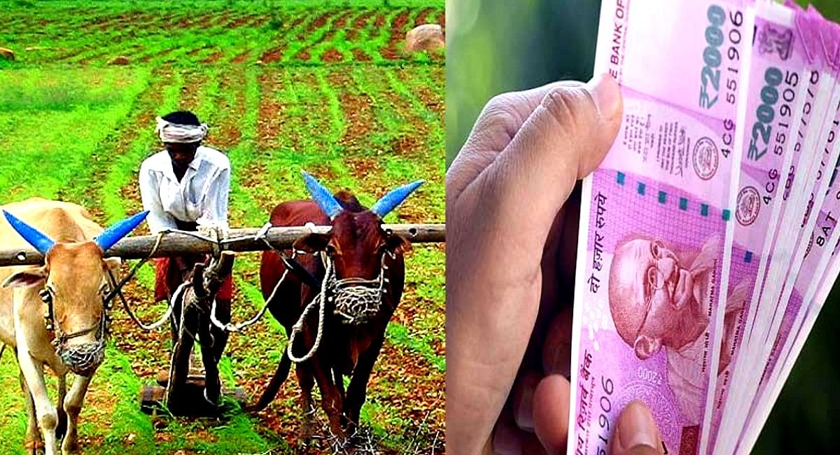 PM Kisan Yojana: Great news for farmers!  14th installment of PM Kisan will be released on this day