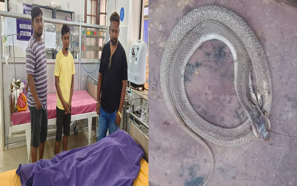 Snake Bite: 12 year old girl died due to snake bite in Seraikela