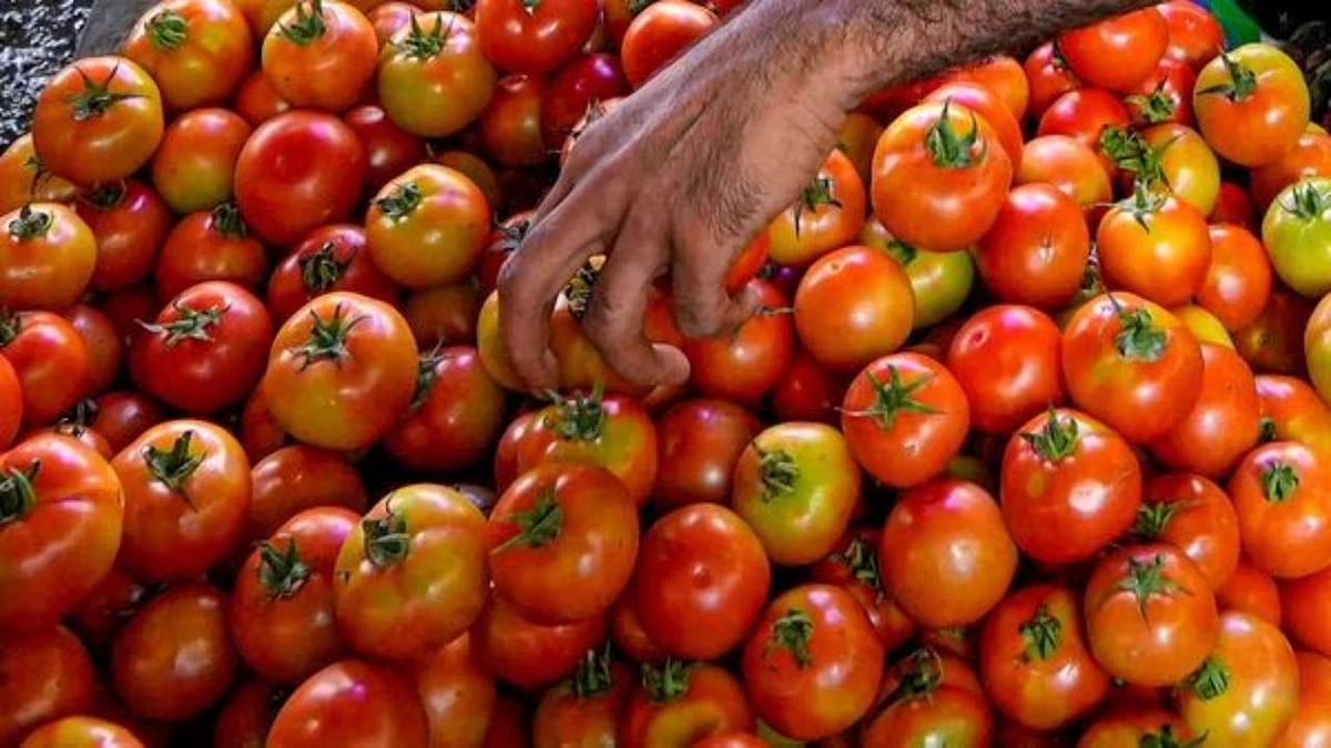 'The budget of the house has deteriorated', RBI also approved the increased prices of tomatoes