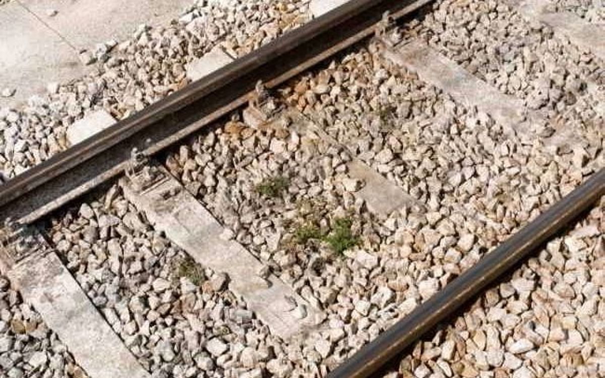 Three mutilated bodies found from railway track in Gaya, one child among dead