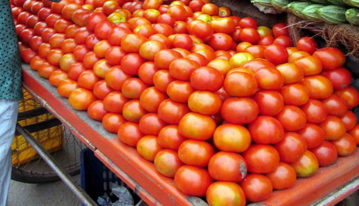 Tomatoes will be available cheap in Patna from tomorrow, know what is the government's plan to give relief to the people
