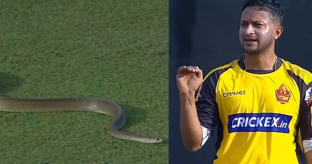 Watch: Snake stopped the game in Lanka Premier League, Shakib Al Hasan's reaction was worth watching, video viral