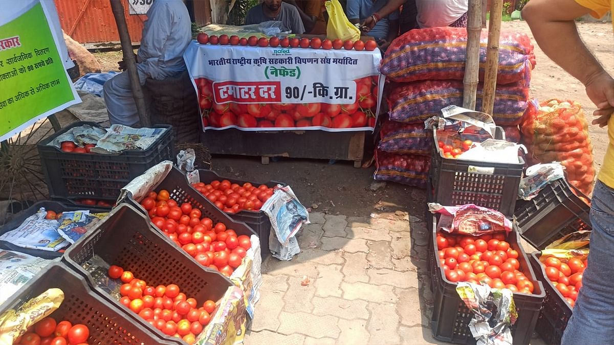 Photo Story: Tomato prices skyrocket again, sold at Rs 259 per kg in Mother Dairy shops