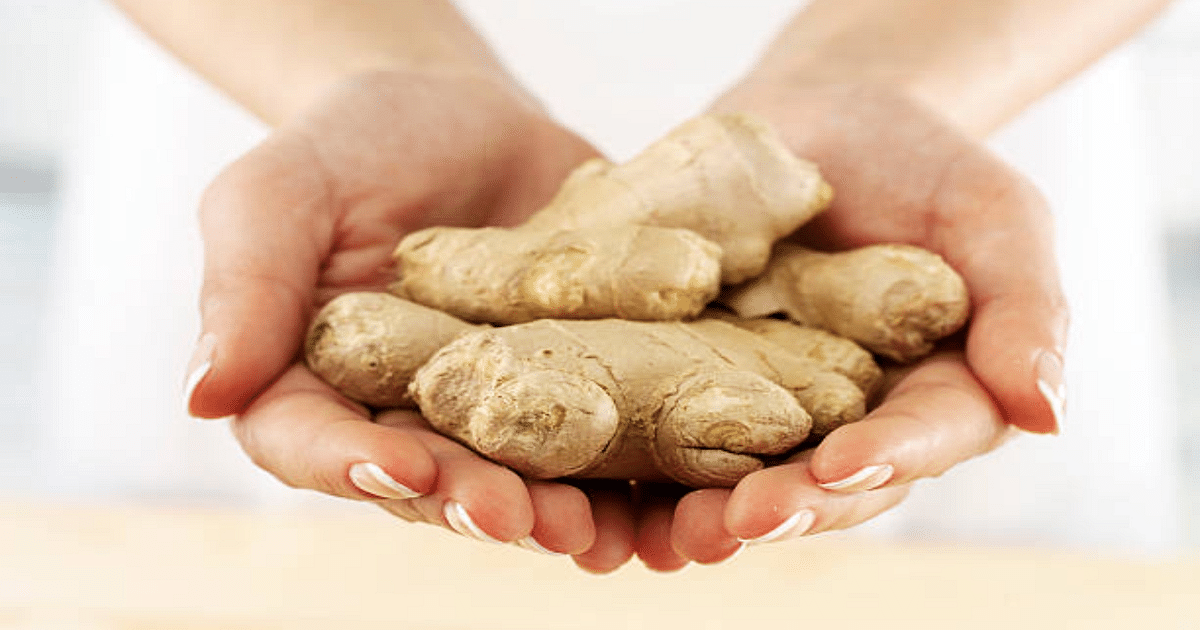 Kitchen Tips: Does ginger often go bad, know how to store it