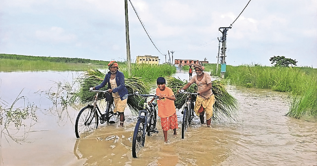 Bihar Flood: Due to the rains of Nepal, the rivers of Bihar swelled, Kosi and Gandak's fury was visible, contact with the villages was broken.