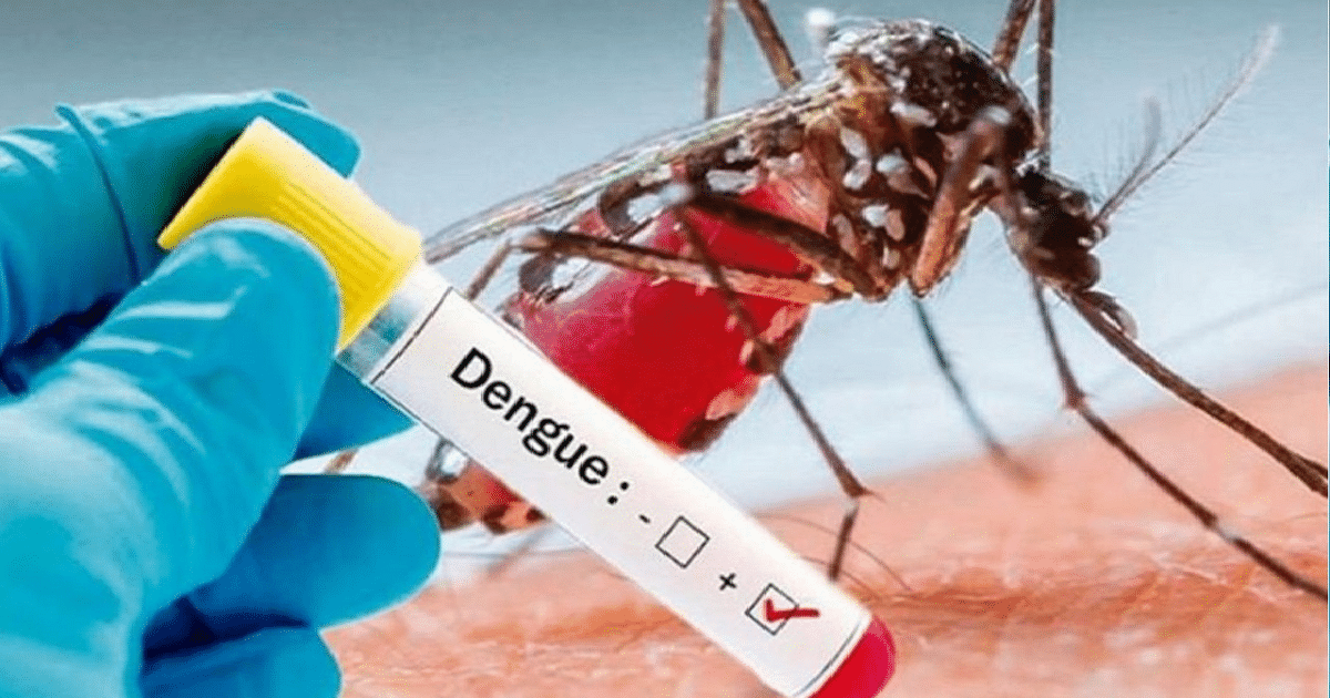 More than one thousand dengue patients found in Bihar in 12 days, 65 new patients found in Patna in one day