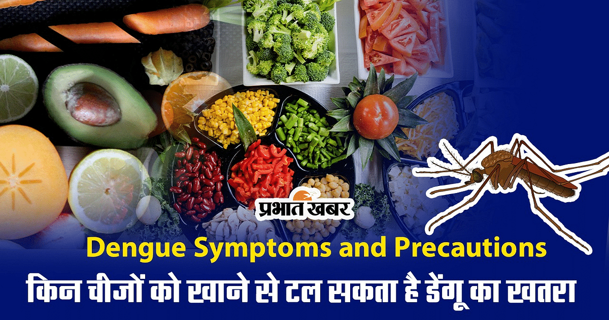 Dengue Symptoms and Precautions: Eating which things can prevent the risk of dengue, watch video